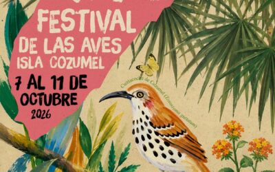 XVIII Festival de las Aves Isla Cozumel XVIII Festival de las Aves Isla Cozumel